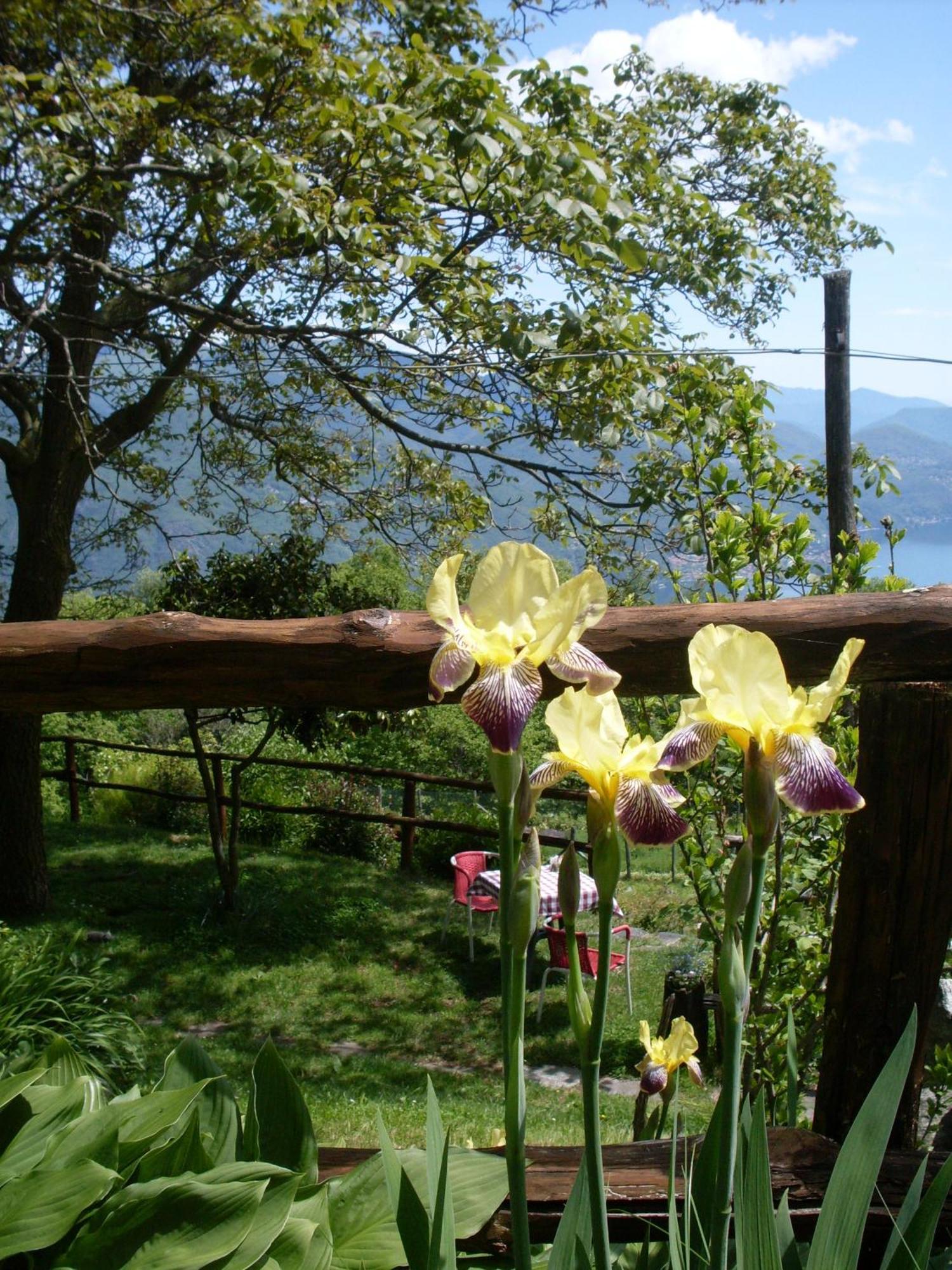 Agriturismo Da Attilio Канобио Екстериор снимка