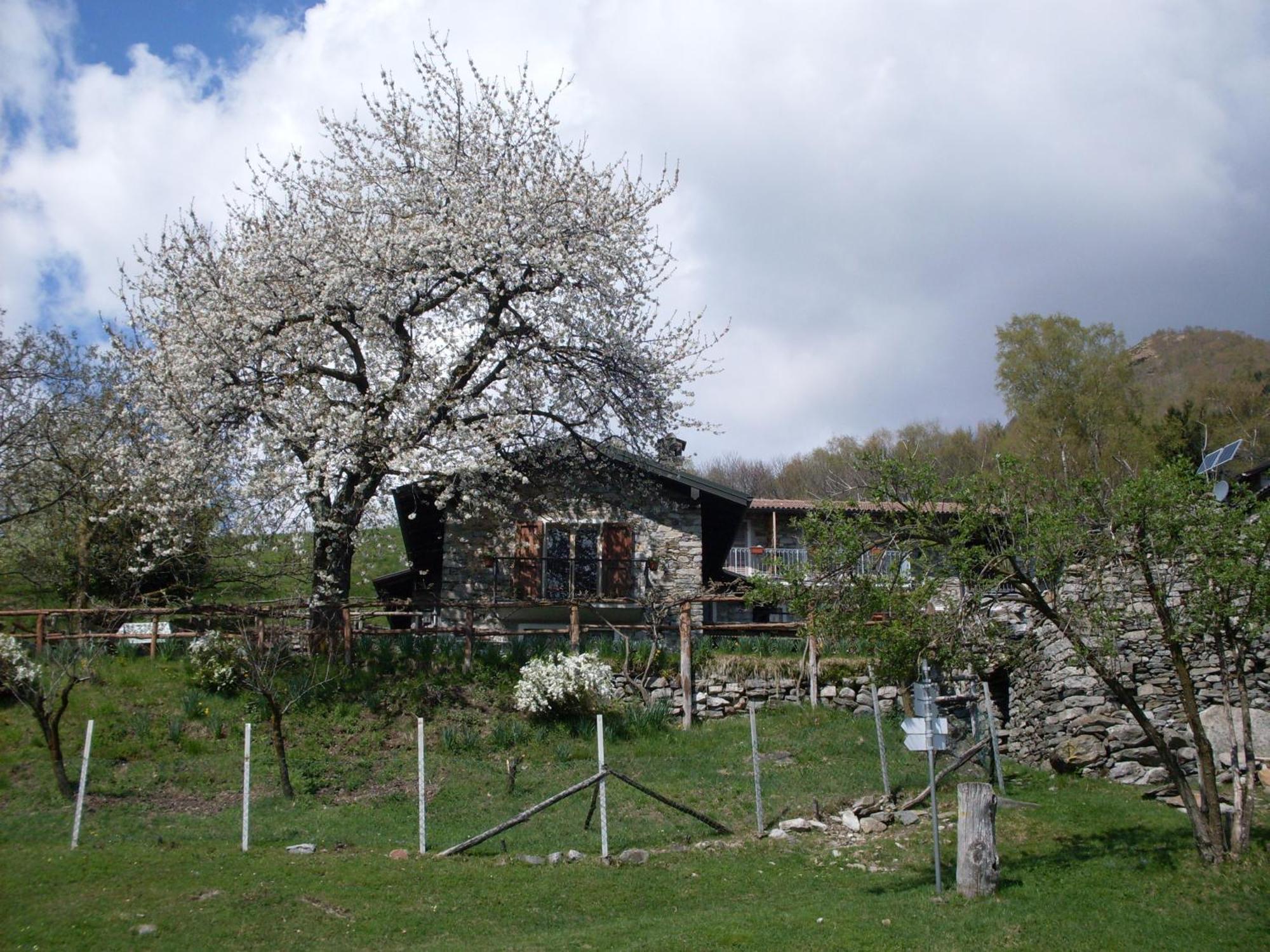 Agriturismo Da Attilio Канобио Екстериор снимка
