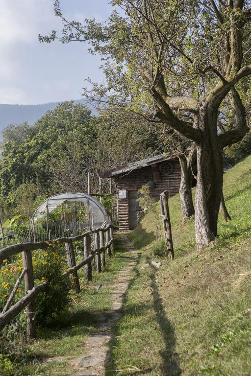 Agriturismo Da Attilio Канобио Екстериор снимка