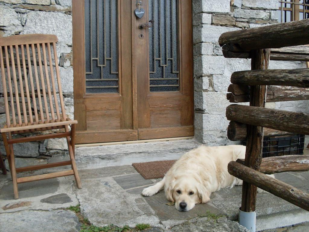 Agriturismo Da Attilio Канобио Стая снимка