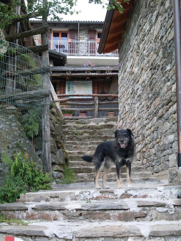 Agriturismo Da Attilio Канобио Екстериор снимка